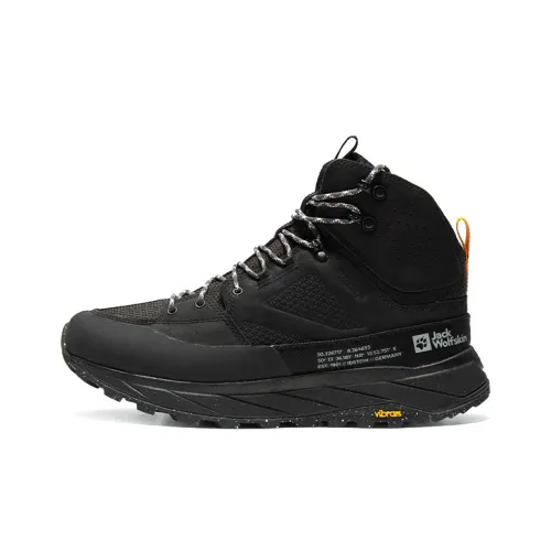 JACK WOLFSKIN Альпинистские и туристические ботинки High Top Мужские
