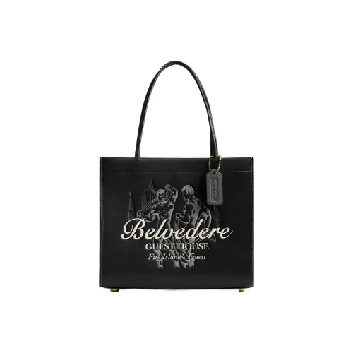 COACH Cashin Дубленая кожа Тоут Сумка Плечевая сумка Маленькая Женская Черная