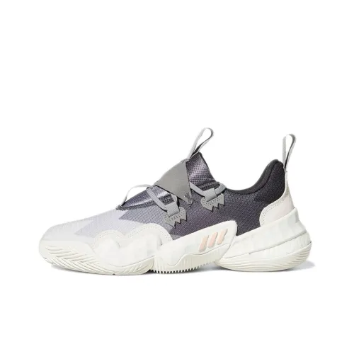 Adidas Trae Young 1,0 Баскетбольные кроссовки Low Топ Мужской