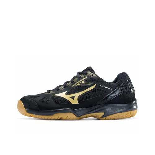 Mizuno Sky Blaster Бадминтонная обувь Низкий топ Мужская
