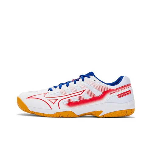 Mizuno Gate Sky Бадминтонная обувь Низкий топ Унисекс