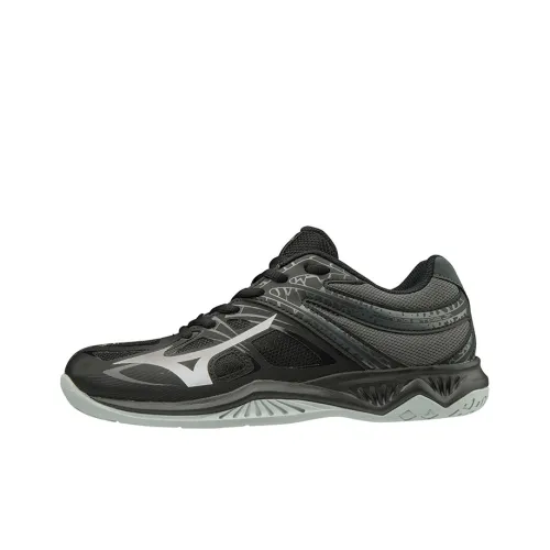 Кроссовки для волейбола Mizuno Low Top Unisex