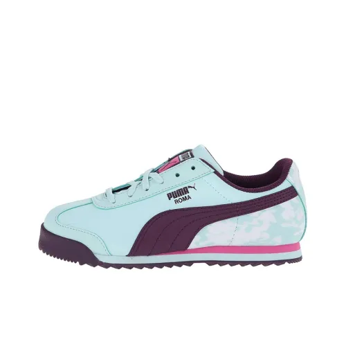 PUMA Roma Базовый Blur Weave Wht Амортизация Износостойкие Низкие Кроссовки для тренировок Мужской Синий