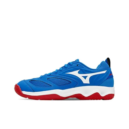 Mizuno Бадминтонная обувь, низкий топ, унисекс