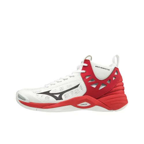 Кроссовки для волейбола Mizuno Momentum MID Top Unisex