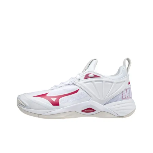 Кроссовки для волейбола Mizuno Momentum Low Top Unisex