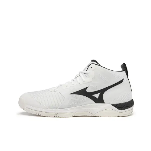 Кроссовки для волейбола Mizuno MID Top Unisex