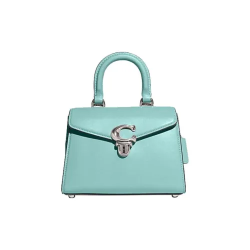 COACH Коровья кожа Сумка Lady Dior Сумка через плечо Сумка Женская Гора Озерно-голубой