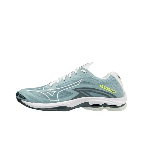 Кроссовки для волейбола Mizuno Low Top Unisex