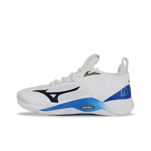 Кроссовки для волейбола Mizuno Momentum, низкий топ, белые и черные, унисекс
