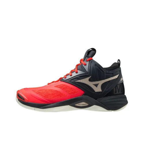 Кроссовки для волейбола Mizuno Momentum MID Top Unisex