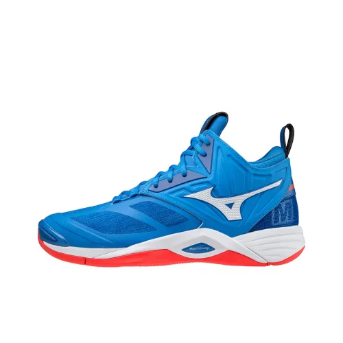 Кроссовки для волейбола Mizuno Momentum MID Top Unisex