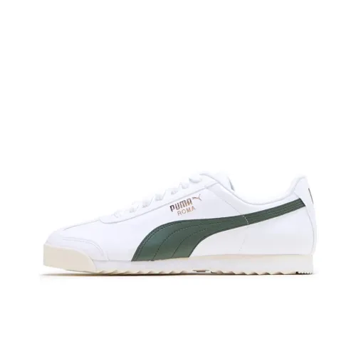 PUMA Roma Basic Low Top Тренировочные Кроссовки Мужские Белый Яшма