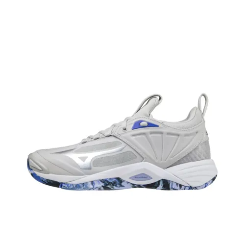 Кроссовки для волейбола Mizuno Momentum Low Top Unisex