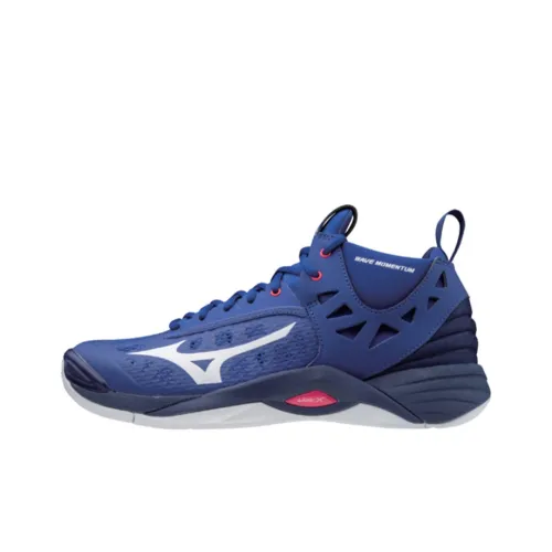 Кроссовки для волейбола Mizuno Momentum MID Top Unisex