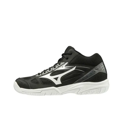 Кроссовки для волейбола Mizuno Cyclone Speed 2 MID Top Мужские