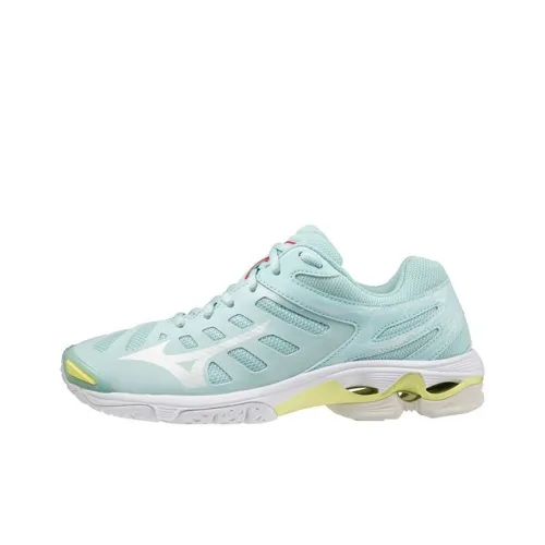 Кроссовки для волейбола Mizuno Wave Voltage Collection, низкий топ, женские