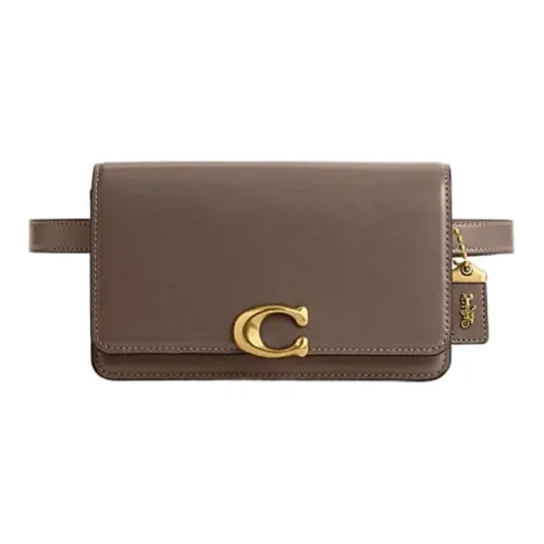 COACH Bandit Коровья кожа Слинг-сумка Сумка на пояс Сумка через плечо Маленькая Женская Темно-серый лаймовый