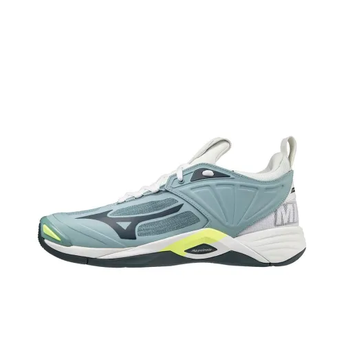 Кроссовки для волейбола Mizuno Momentum Low Top Unisex