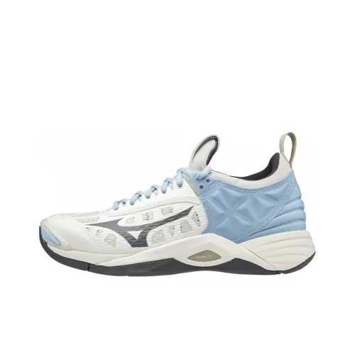 Кроссовки для волейбола Mizuno Low Top Unisex