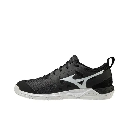Кроссовки для волейбола Mizuno Low Top Unisex