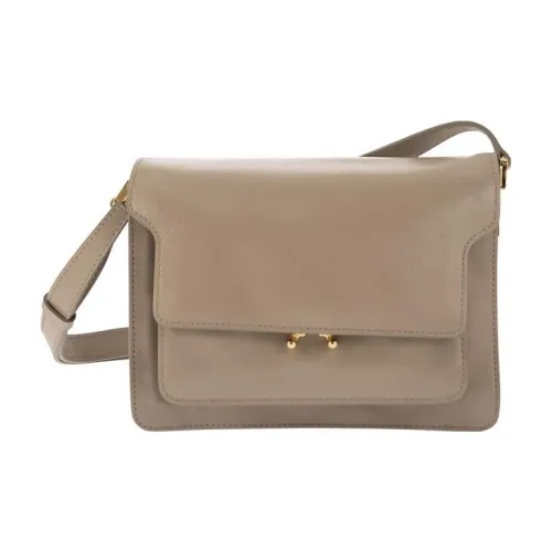 MARNI Телячья кожа Аккордеонная сумка Сумка через плечо Сумка на плечо Женская Светлый Умбра