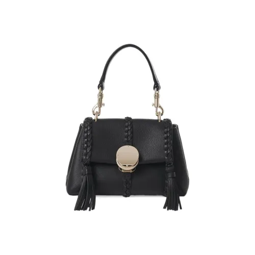 Chloe Рельеф Телячья Кожа Сумка через плечо Сумка на плечо Мини Женская Черная
