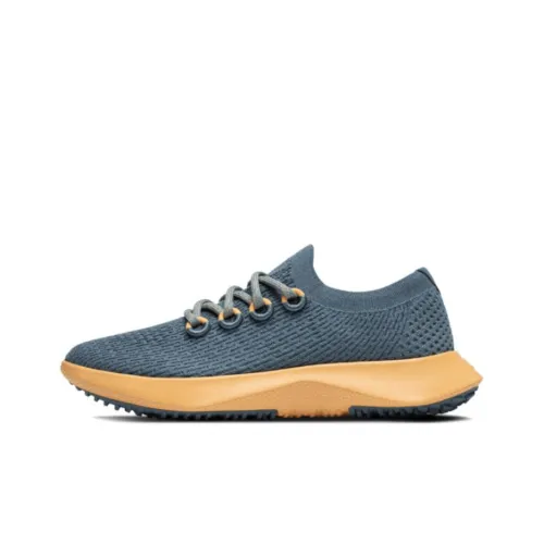 Allbirds Tree Dasher Slip-Resistant Низкие Кроссовки для Бега Мужские Темно-Аква Зеленый