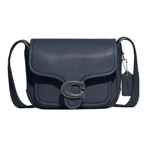 COACH Tabby Полированная Галечная Кожа Wa Утонченная Телячья Кожа Курьерская Сумка Сумка через плечо Маленькая Женская Морская Синяя