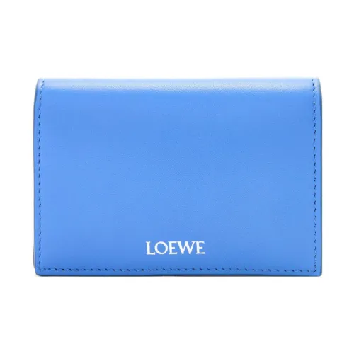 LOEWE Совместное издание Кошельки Мужской