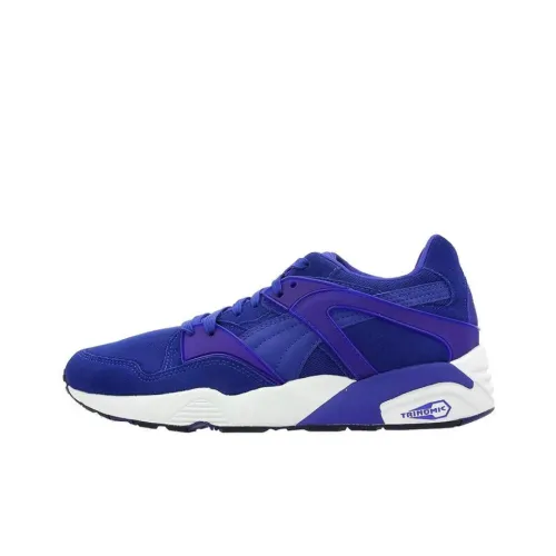 PUMA Disc Blaze Low Топ Повседневная Обувь