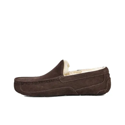 UGG Ascot Повседневный Низкий Топ Мужской