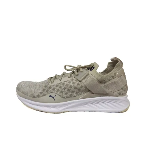 PUMA Ignite Evoknit Lo Pavement Low Топ Повседневная обувь Мужская Хаки