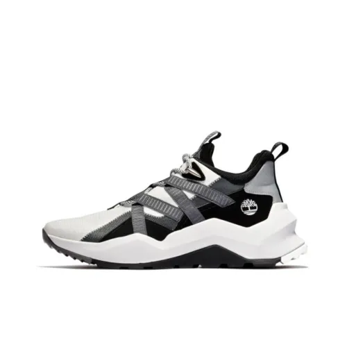 Timberland MADBURY Collection Амортизаторы Slip-resistant Низкий топ Повседневная обувь Мужская Белый Черный