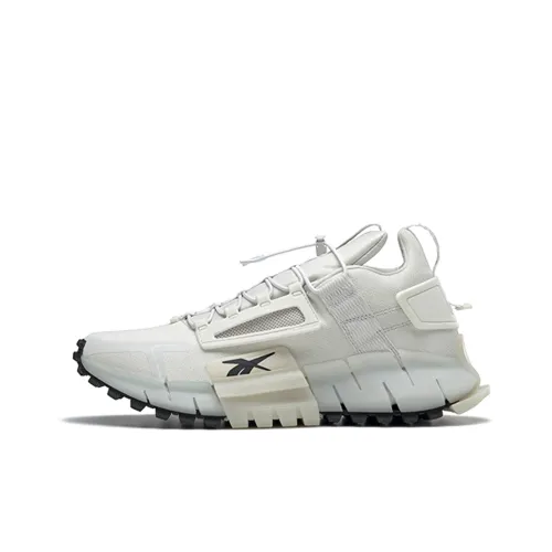 Reebok Zig Kinetica Low Топ Повседневная обувь Унисекс Белый