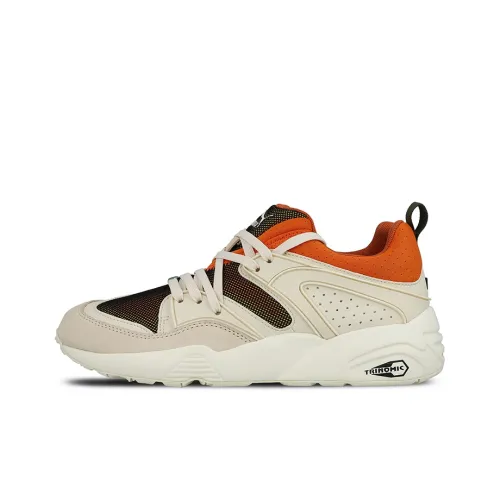 PUMA Blaze Of Glory Low Топ Повседневная обувь Мужская