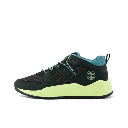 Timberland Повседневный Низкий Топ Мужской