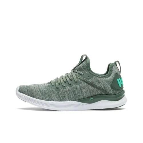 PUMA Ignite Flash EVOKNIT Амортизация Износостойкий Низкий Топ Повседневная Обувь