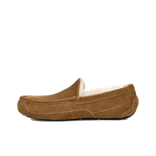 UGG Ascot Повседневный Низкий Топ Мужской