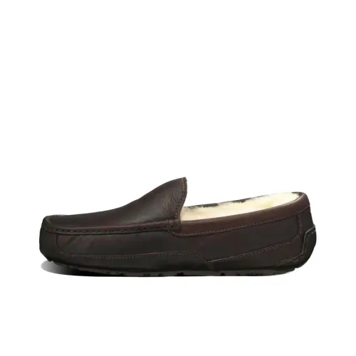 UGG Ascot Low Топ Повседневная обувь Мужская