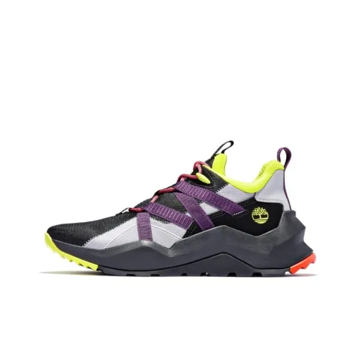 Timberland MADBURY Collection Амортизаторы Slip-resistant Abrasion-resistant Низкий топ Повседневная обувь