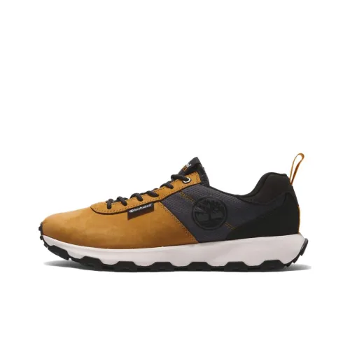 Timberland Winsor Trail Повседневный Низкий Топ Мужской