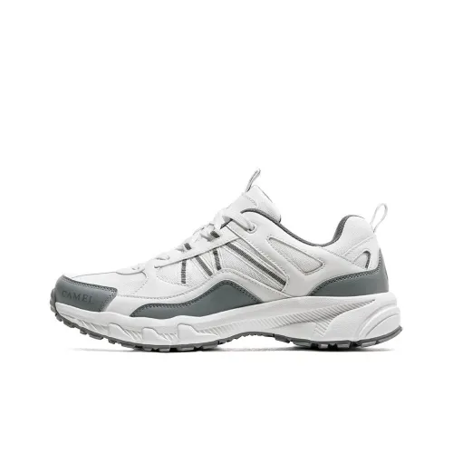 CAMEL Panlong 2,0 Амортизаторы Slip-resistant устойчивые к истиранию Низкий топ Уличная обувь Женская Белый Серый