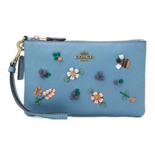 COACH Wristlet Кожа Сумка через плечо Маленькая сумка Клатч Кошелек для монет Сумка маленькая Женская Ледяной синий