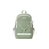 Кактус Зеленый