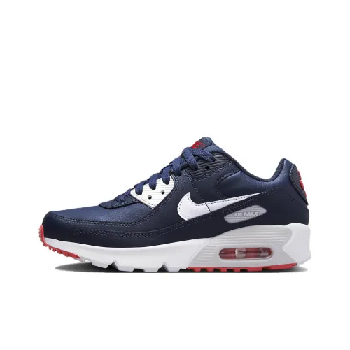 Nike Air Max 90 LTR Low Топ Повседневная обувь GS Синий Белый