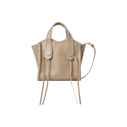 Chloe Mony Блестящий Телячья кожа Сумка через плечо Сумка Маленькая Женская Clay Brown