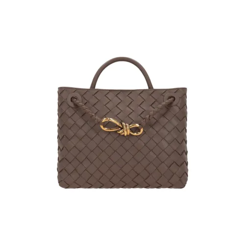 Bottega Veneta Andiamo series Овчина Сумка через плечо Сумка Маленькая Унисекс Умбра