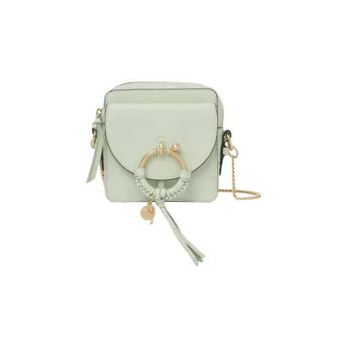 See By Chloe Small Grain Коровья кожа Camera Сумка Сумка через плечо Обычный Женский Светло-зеленый