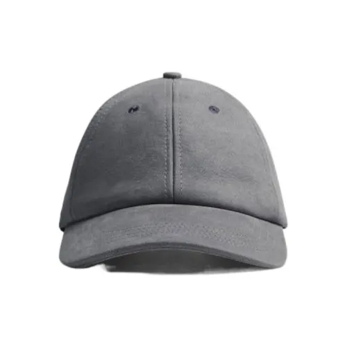 Bottega Veneta Кепки из коровьей кожи Мужские Серые